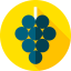 Grapes icon 64x64