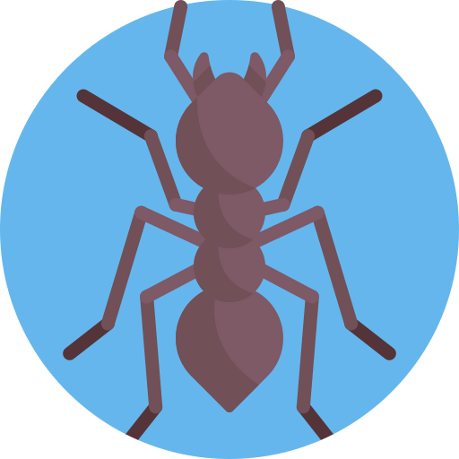 Ant Symbol
