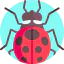 Ladybug 상 64x64