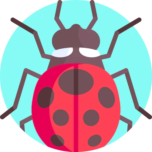 Ladybug Ikona