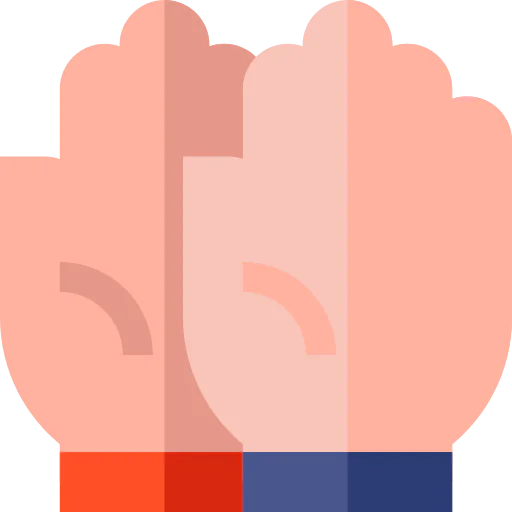 Voting icon