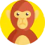Monkey 상 64x64