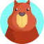 Capybara 상 64x64