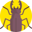 Beetle 상 64x64