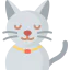 Cat icon 64x64