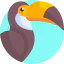 Toucan 상 64x64