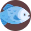 Piranha 상 64x64