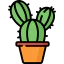Cactus icon 64x64