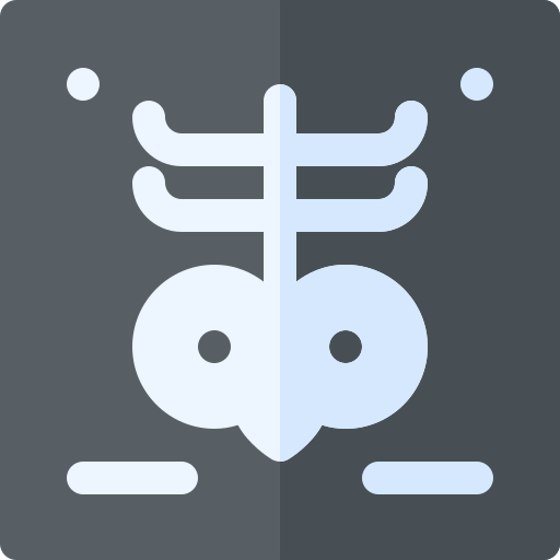 X ray icon