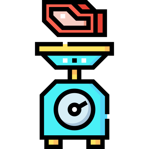 Scale icon