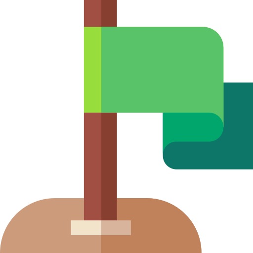 Flag icon