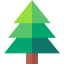 Pine icon 64x64