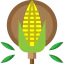 Corn icon 64x64
