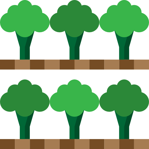 Broccoli Symbol