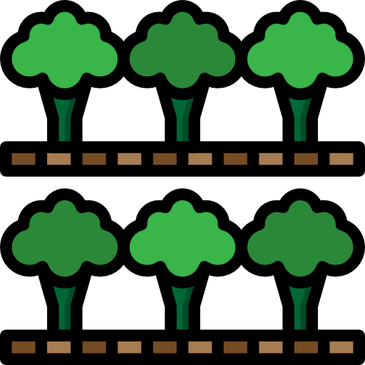 Broccoli icon