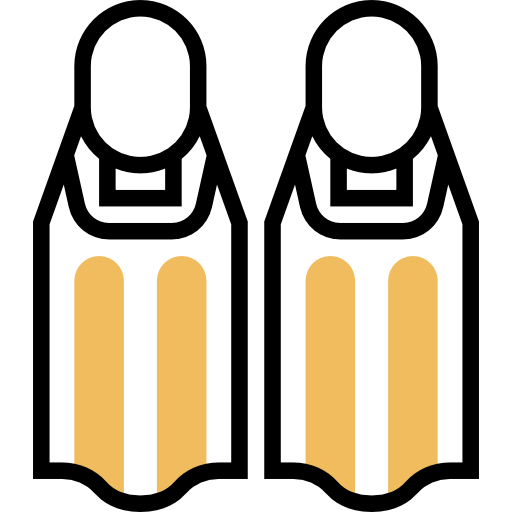 Flippers icon