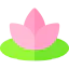 Lotus icon 64x64