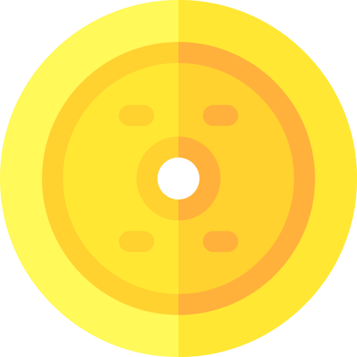 Coin icon