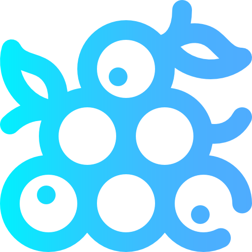 Fruits icon