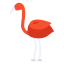 Flamingo icon 64x64