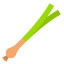 Leek icon 64x64