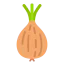 Onion icon 64x64