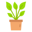 Plant icon 64x64