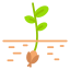 Seed icon 64x64