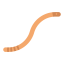Worm icon 64x64