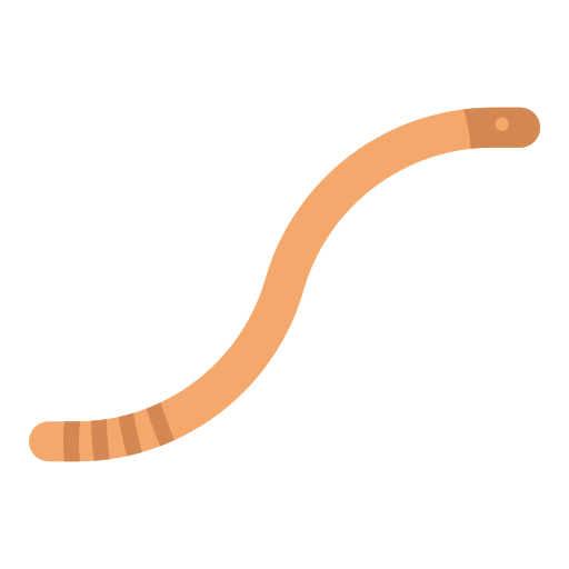 Worm Ikona