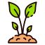 Sprout icon 64x64
