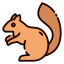 Squirrel icon 64x64