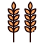 Wheat icon 64x64