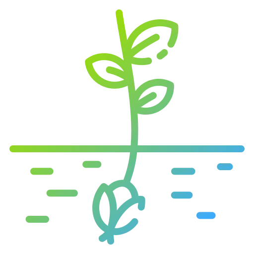 Seed icon