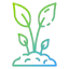 Sprout icon 64x64