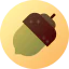 Acorn icon 64x64