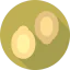 Pumpkin seed іконка 64x64
