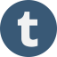Tumblr icon 64x64