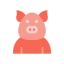Pig icon 64x64