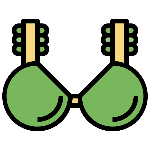 Bra icon