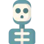 Skeleton biểu tượng 64x64