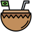 Coconut drink icon 64x64