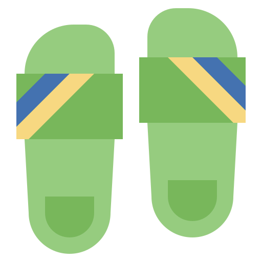 Flip flops icon