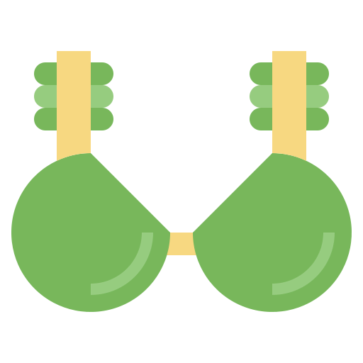 Bra icon