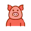 Pig icon 64x64