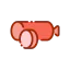 Salami icon 64x64