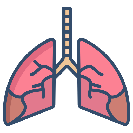Lungs icon