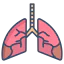 Lungs icon 64x64