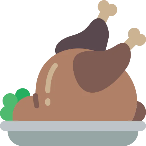 Turkey icon