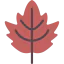 Leaf icon 64x64
